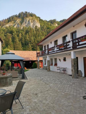 Гостиница Guest House Piatra Craiului  Замок Бран